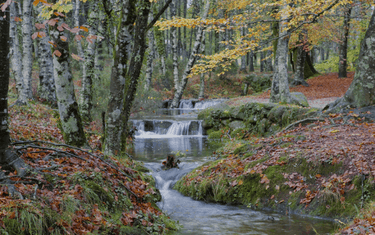 Green Travel in the North of Portugal | Corkor