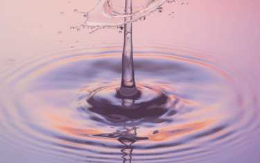 How to Clean a Cork Wallet: the Foolproof Formula - Corkor