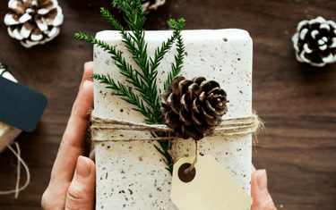 Unique Host and Hostess Gifts For Vegans | Corkor