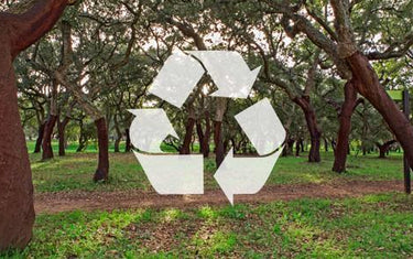 Vegan, Eco-friendly, Sustainable and Renewable... is it possible? | Corkor