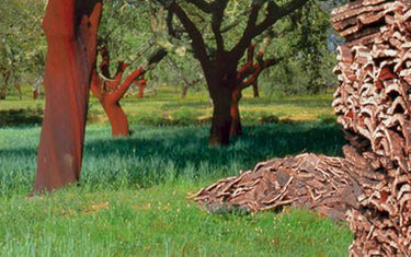 About Corkor | Corkor