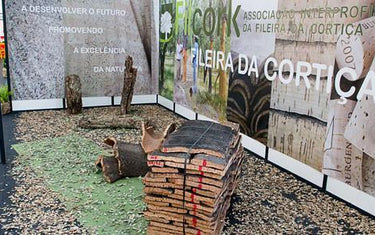 Corkor went to Ficor at Coruche | Corkor