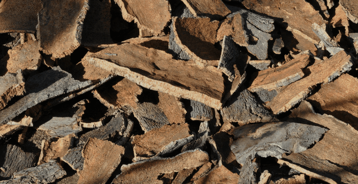 Did you know that cork... | Corkor