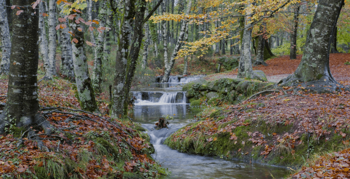 Green Travel in the North of Portugal | Corkor