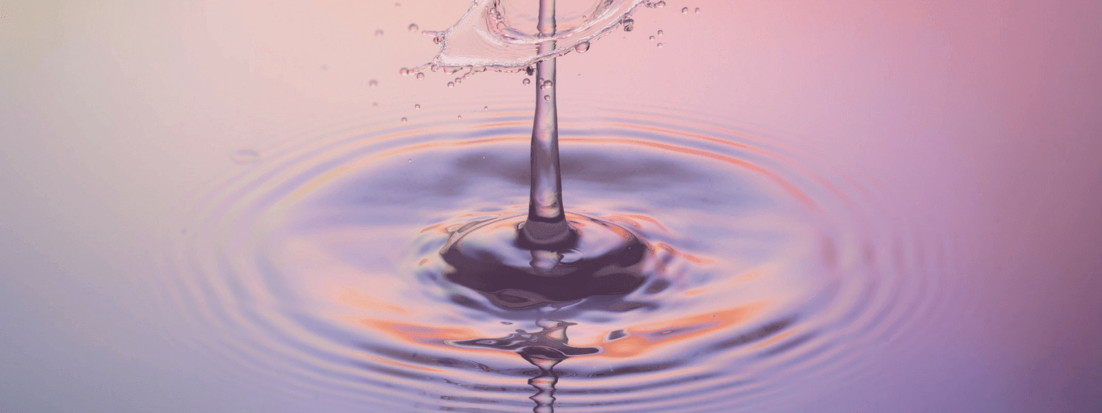 How to Clean a Cork Wallet Improve your Cork Wallet Durability Corkor