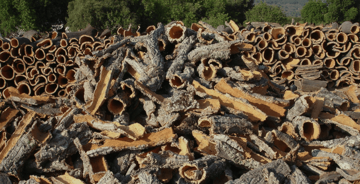 Why Should We Use Cork? | Corkor